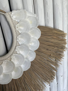Coral shell & seagrass wall hanging display