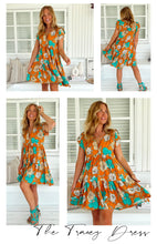 Load image into Gallery viewer, JAASE AQUA FIELDS TRACEY DRESS