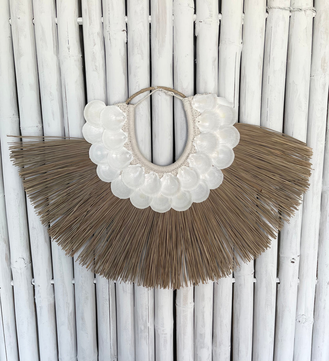 Coral shell & seagrass wall hanging display